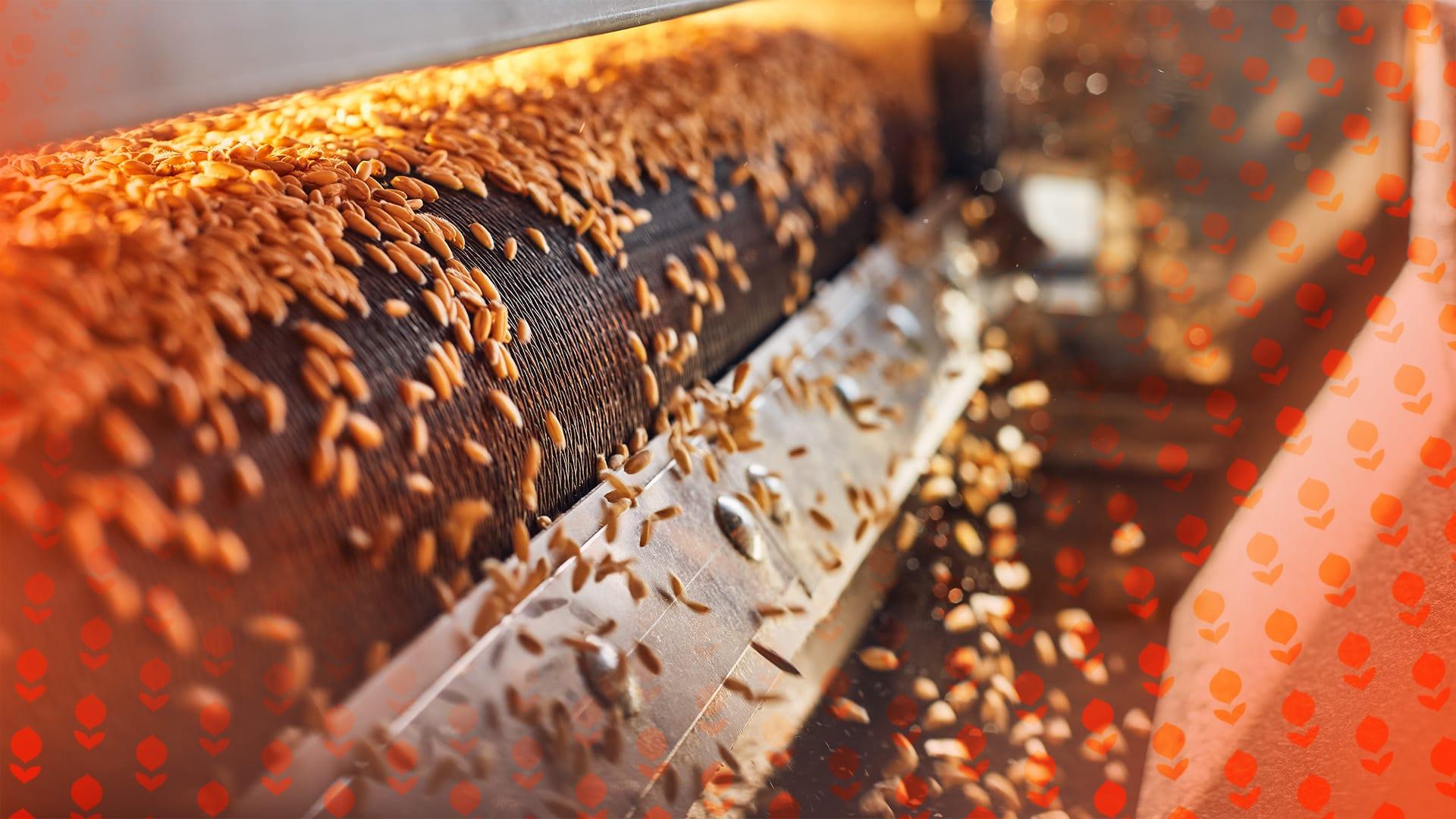 More Choice Process Step 2